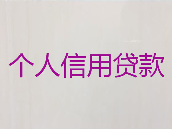 肥东县抵押担保贷款-银行信用贷款